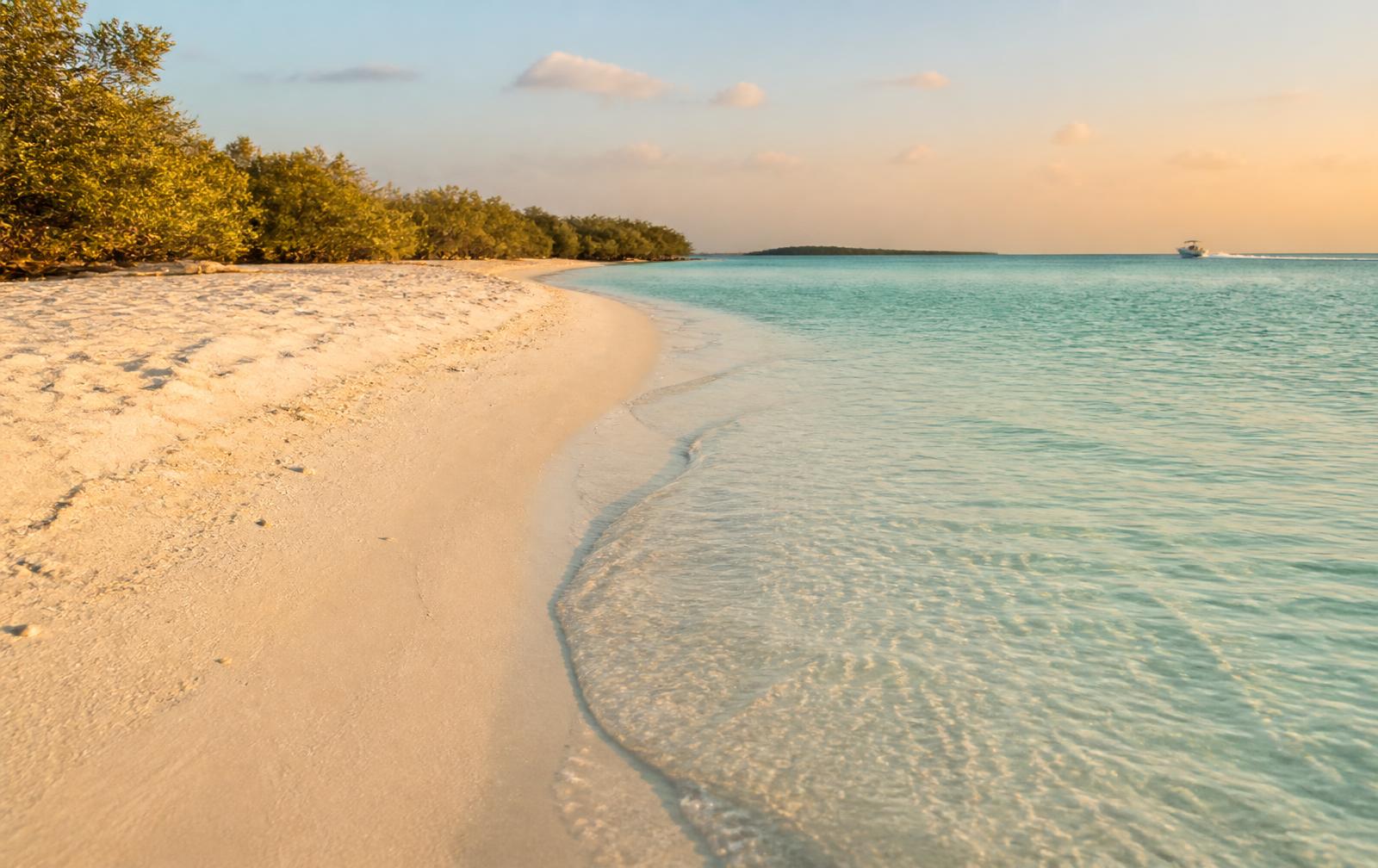 Empty white sand shoreline of Keewaydin Island at golden hour with clear turquoise Gulf water and a mangrove tree line