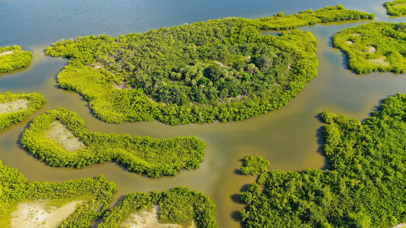 Aerial view of the Ten Thousand Islands mangrove estuary in southwest Florida, a maze of green islands in dark and turquoise water